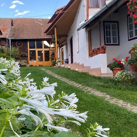 Casa Kelemen Irén Hotel Rimetea Bagian luar foto