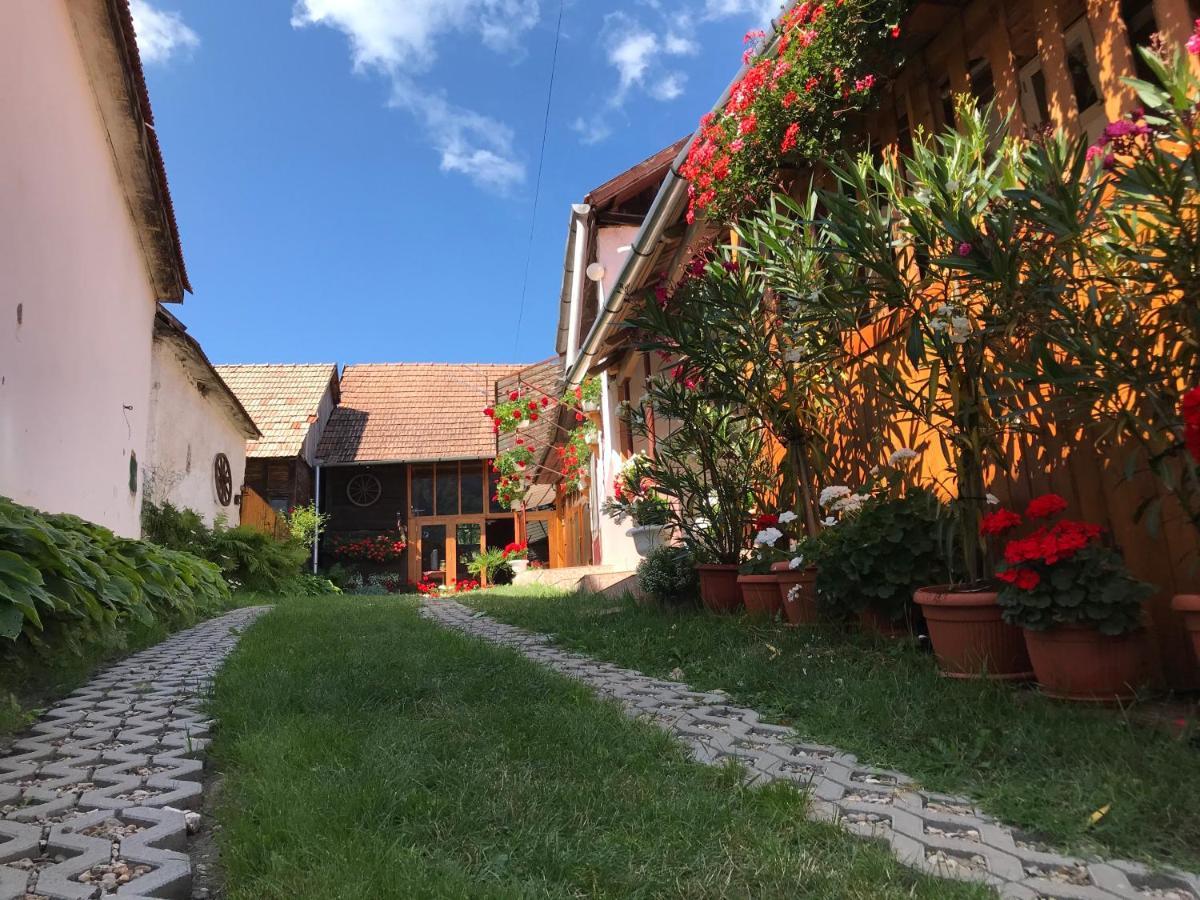 Casa Kelemen Irén Hotel Rimetea Bagian luar foto