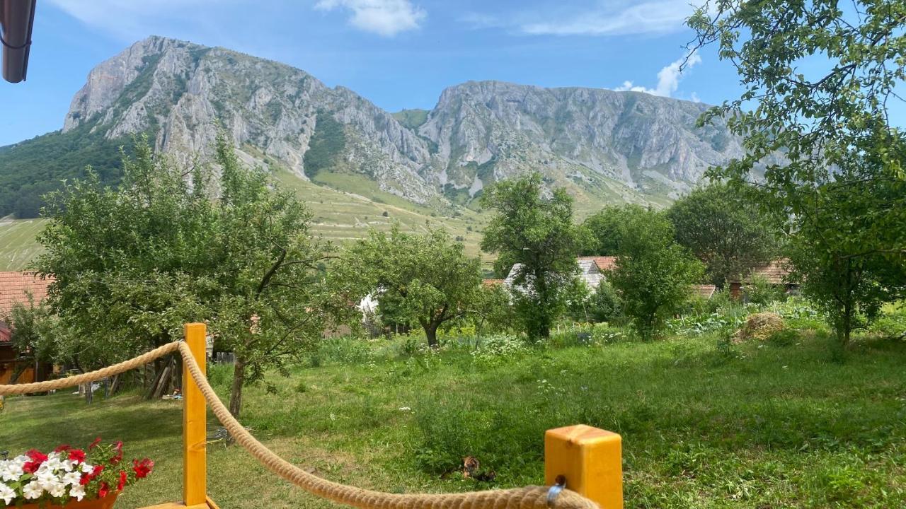 Casa Kelemen Irén Hotel Rimetea Bagian luar foto