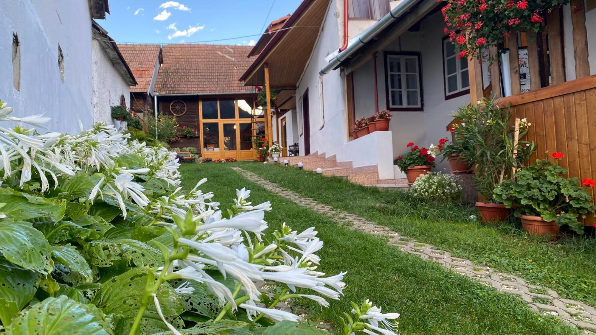 Casa Kelemen Irén Hotel Rimetea Bagian luar foto
